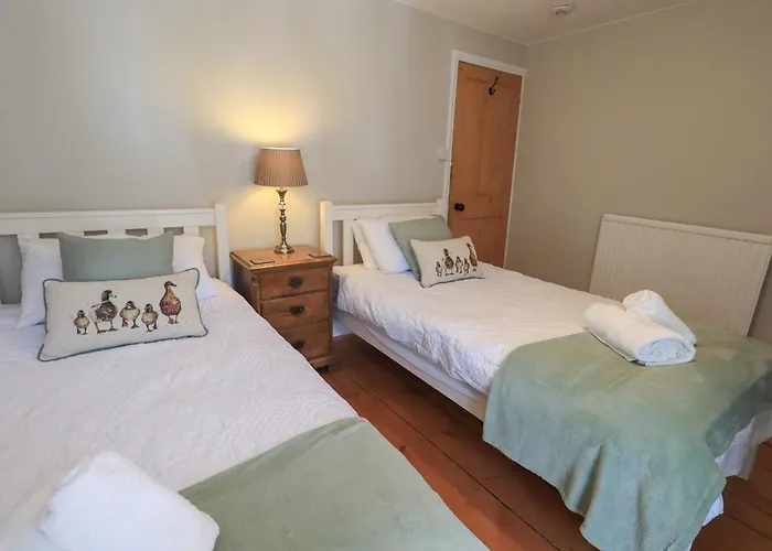 Brook ويندرمير